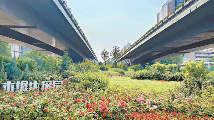 桥下“沉睡空间”变身“金角银边”|停车场_新浪财经_新浪网