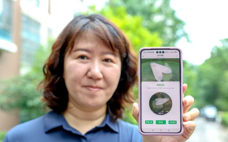 北京市园林绿化局推出“拍照识虫”小要津2.0版块。何建勇 摄