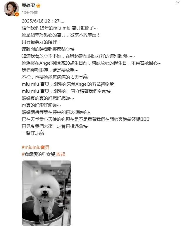 贾静雯发文痛别爱犬miu miu:眼泪哭干了,感谢陪伴15年