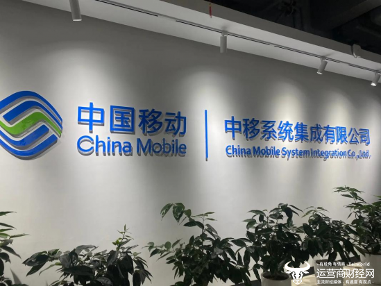 是否计划禁止使用特定系统三年？中东系统集成