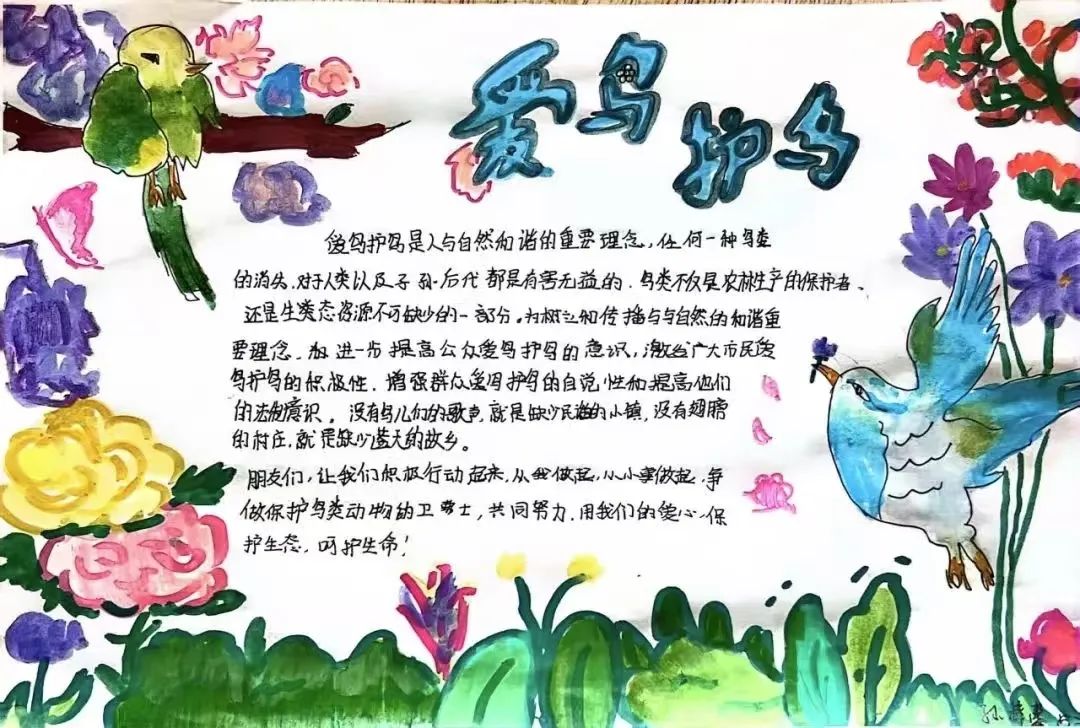 此次保护野生鸟类行动,通过倡议宣传,班会教育,手抄报创作等多元形式