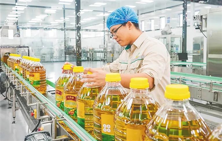 在海南澳斯卡国际粮油有限公司生产车间,工人对成品油进行包装。海南日报全媒体记者 陈元才 摄