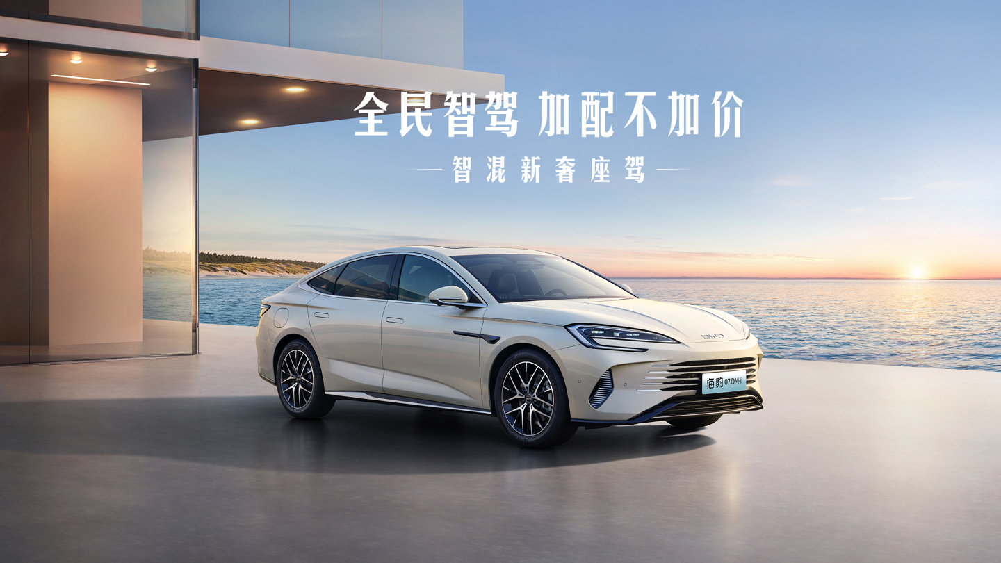 BYD新印章07 DM
