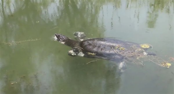 图源：科普中国