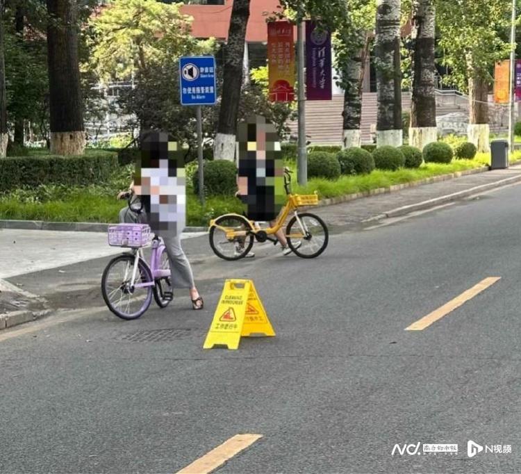 一树倾覆，清华园折翼：北语教授张爱玲的未竟之路  第1张