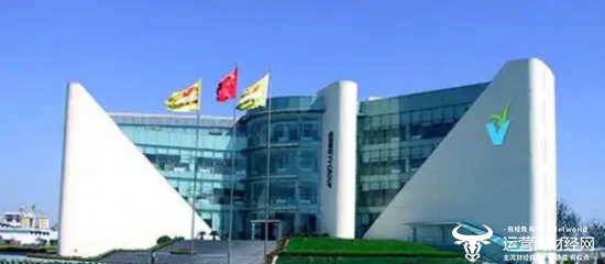 维维2024年净利润上涨高达96.26% 副总经理曹军却降薪1万