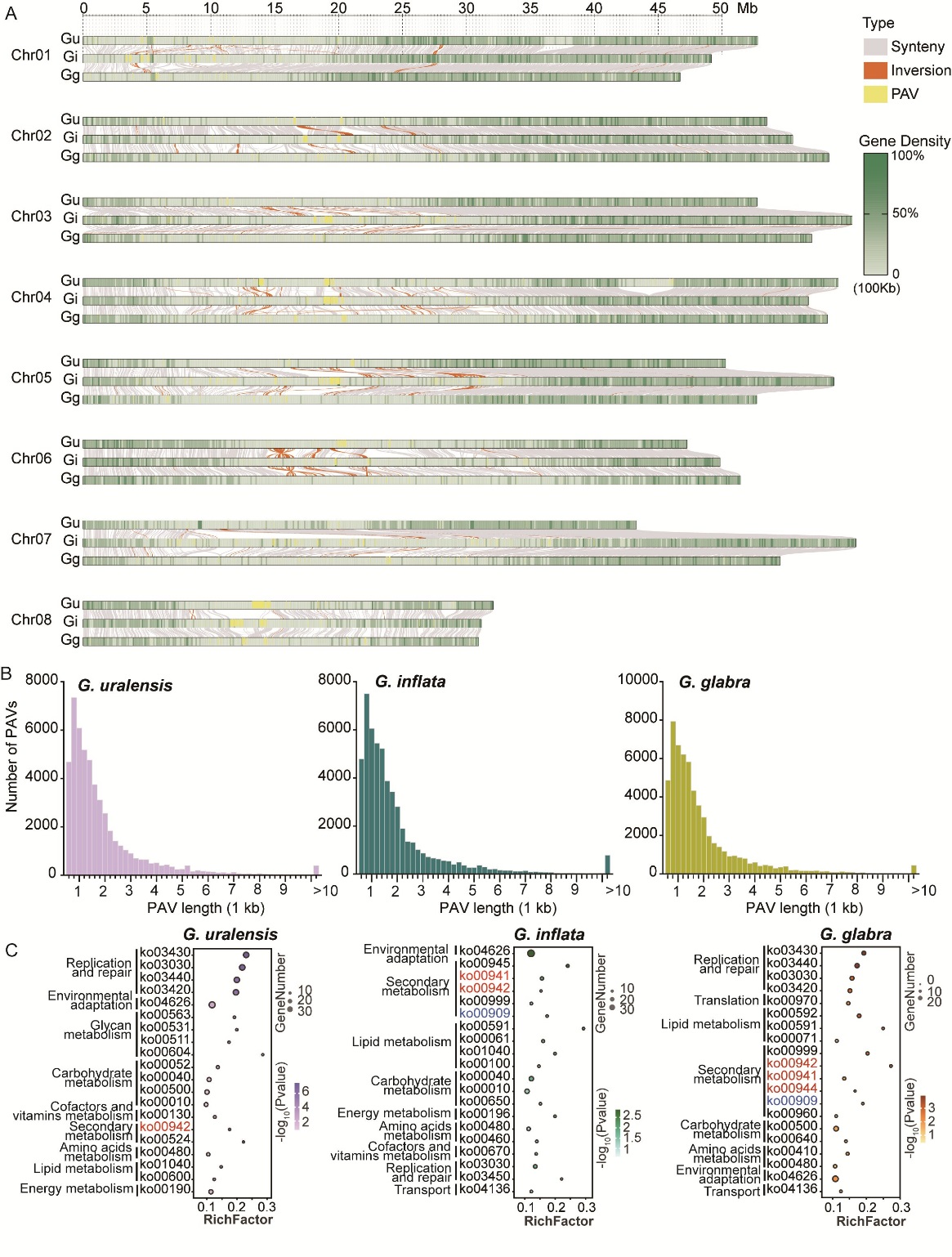 研究构建三种药用甘草的高质量参考基因组