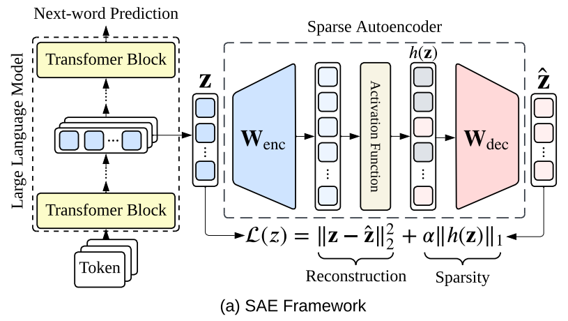 （图 1）：该图展示了 SAE 的基本框架。</p><p cms-style=