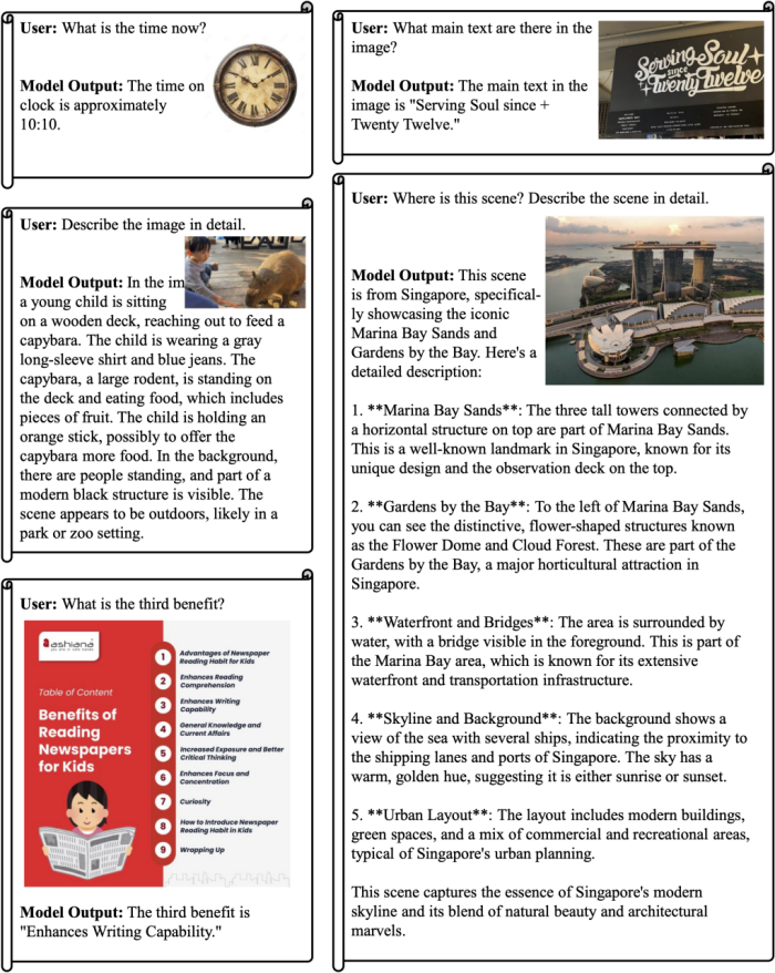 图 3：OpenUni-L 的多模态理解能力展示