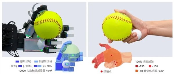 我国仿生的新进步：第一次在人类层面上实现自