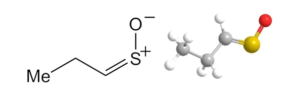 催泪因子的分子式 来源：参考文献[2]