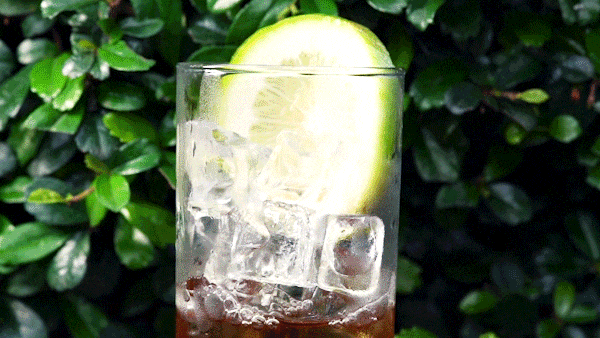 　　图源：广东疾控