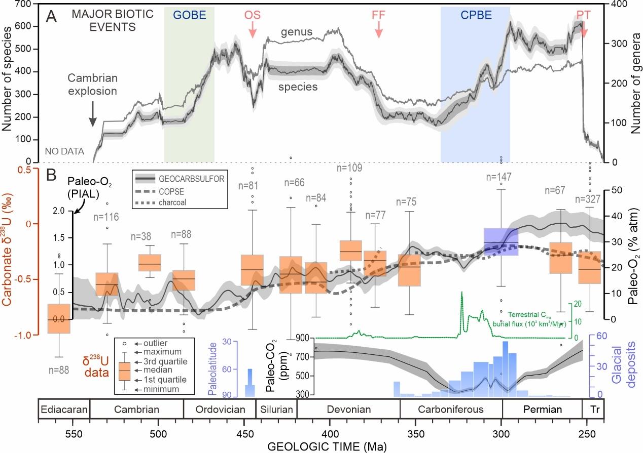 △图1.古生代海洋生物多样性、大气成分与海洋氧化状态。