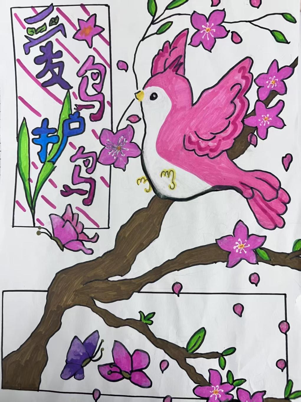 守护蓝天精灵 共筑生态家园