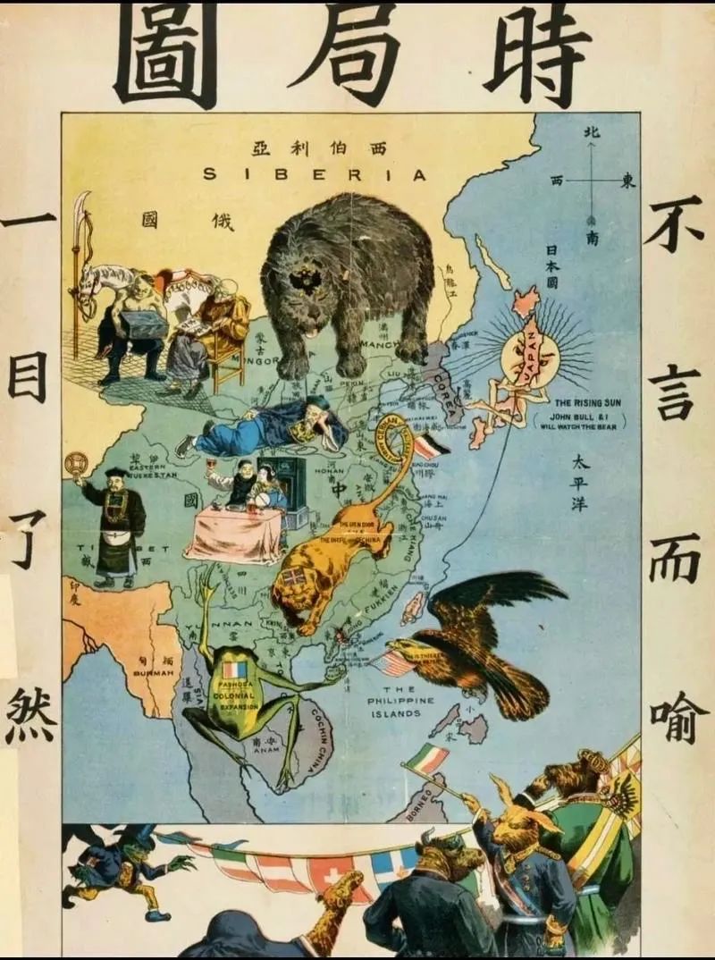 西方狼群：繁荣背后的生存暗流  第6张