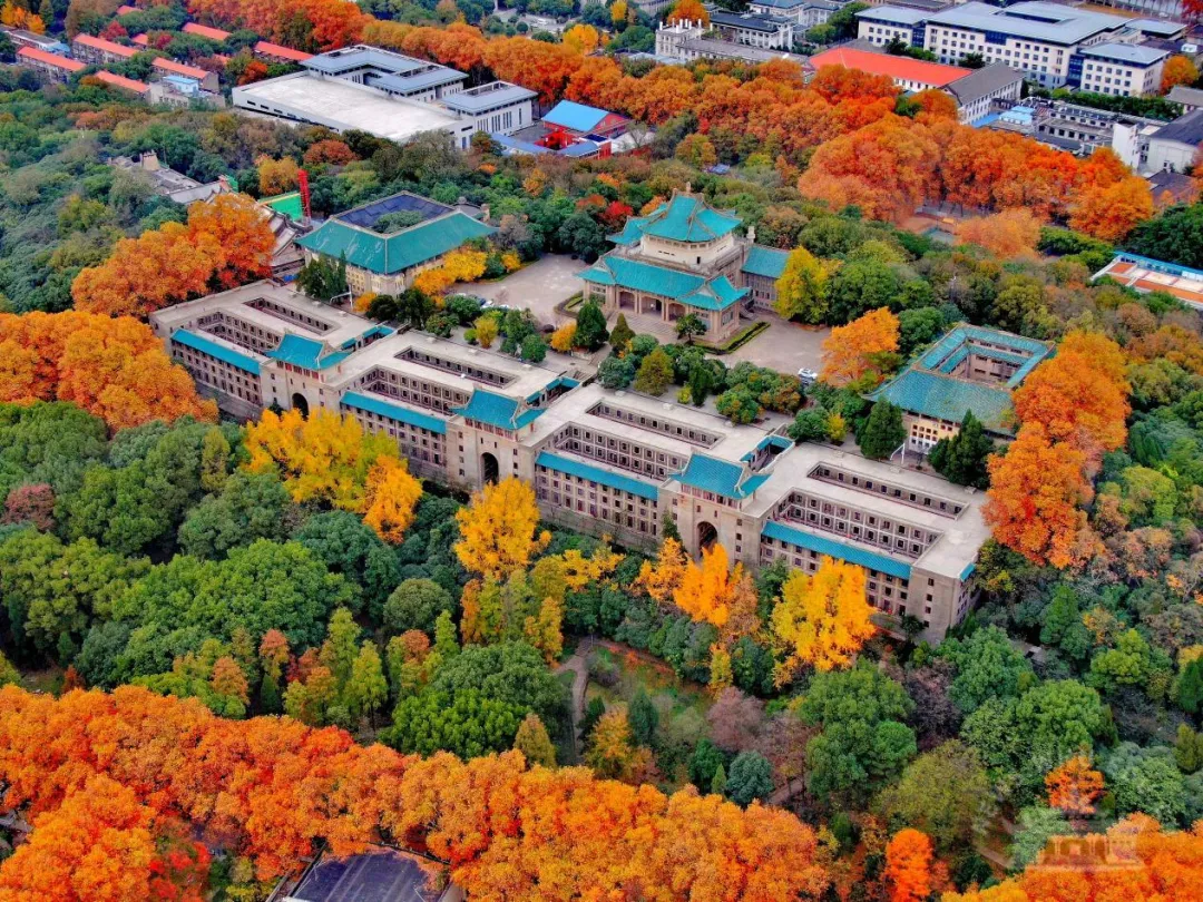 武汉大学。图源：武汉大学官网