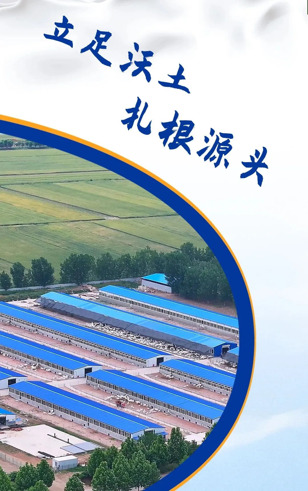 宜品乳业前瞻布局细分领域,构建多元产品矩阵!|乳业_新浪财经_新浪网