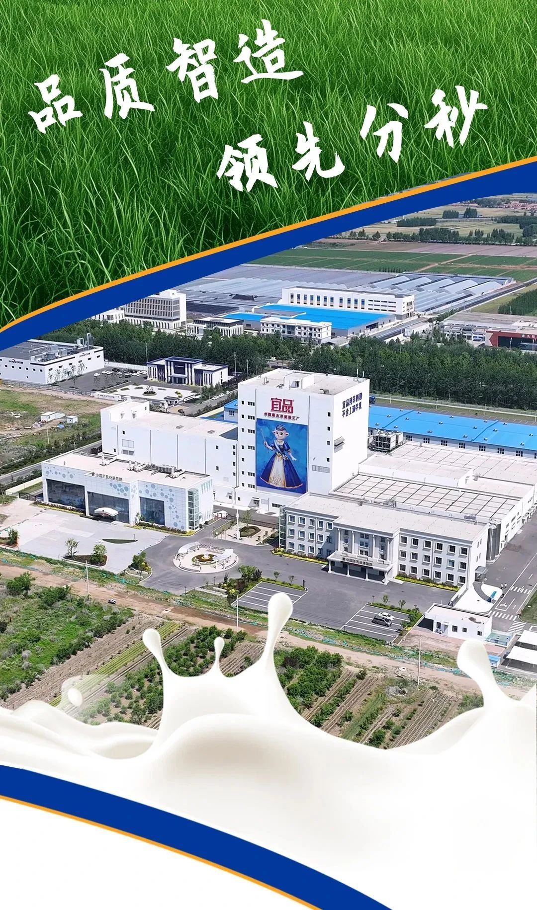 宜品乳业前瞻布局细分领域,构建多元产品矩阵!|乳业_新浪财经_新浪网
