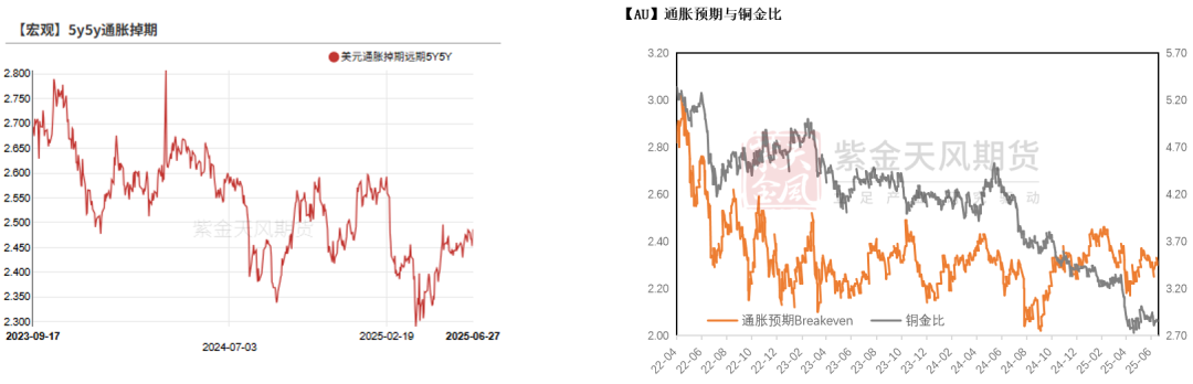 数据来源：Wind，紫金天风期货研究所