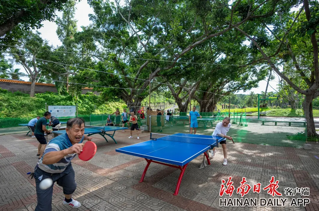 6月16日，在海口金牛岭公园的绿荫下，市民打起乒乓球。海南日报全媒体记者 李天平 摄