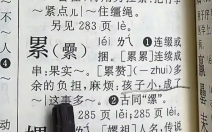“新华社词典”说：“孩子们很重”？停止混合