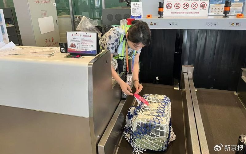 东航推出多条宠物进客舱服务航线,旅客需按要求为宠物做好准备。东航供图