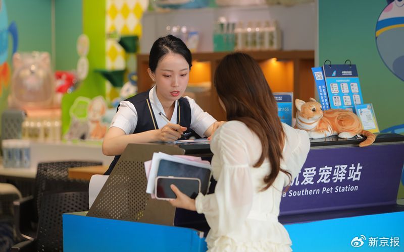 今年暑运开启,南航扩充宠物进客舱服务航线。南航供图
