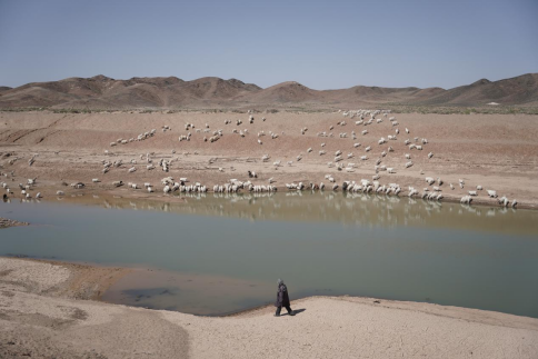 ▲在戈壁上哼着歌放羊，是朝乐蒙花每天最喜欢做的事。胡弘彪|摄