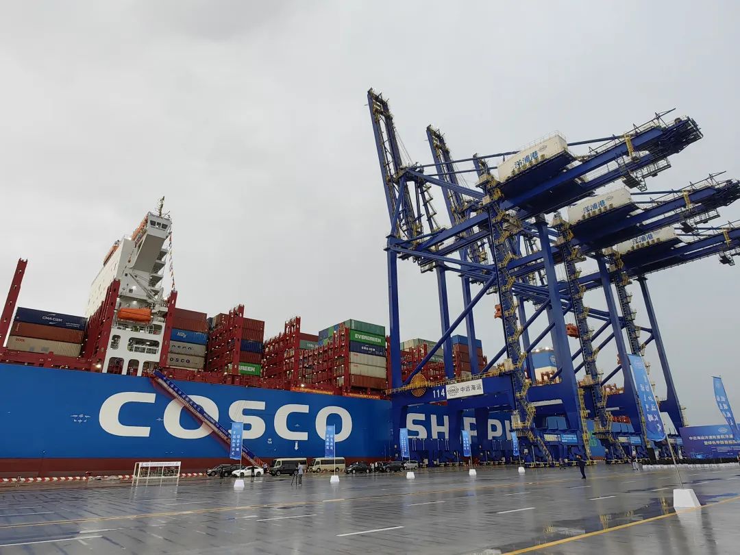 7月2日,全国首艘甲醇双燃料动力集装箱船“中远海运洋浦”轮首航停靠洋浦港。海南日报全媒体记者王晓曈 摄