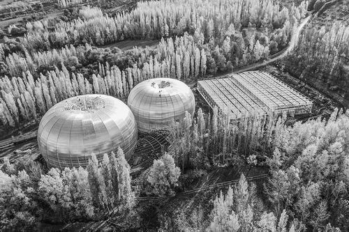 Yili植物园温室已经开业