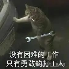 用假简历获得5个硅谷工资！印度兄弟被一群AI初
