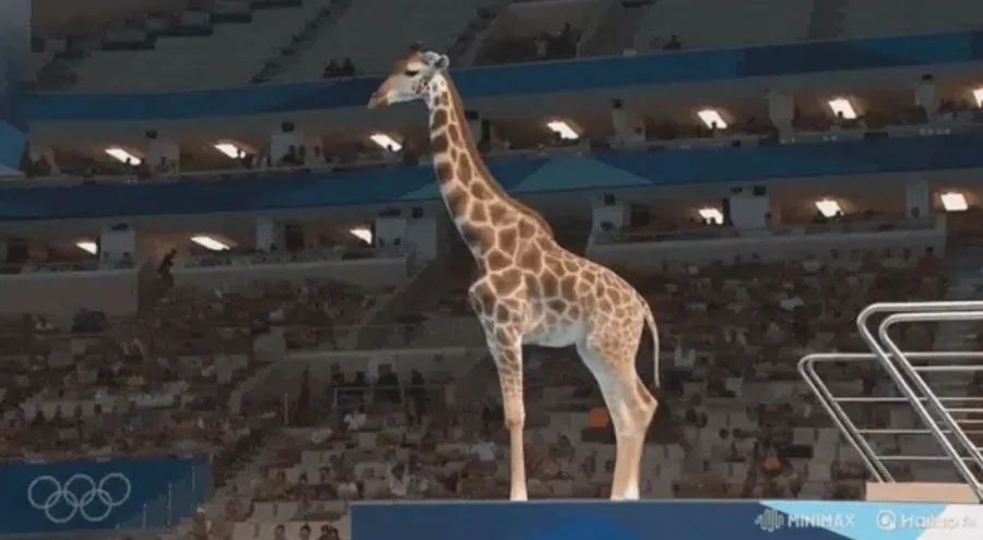 长颈鹿也“学会”了跳水