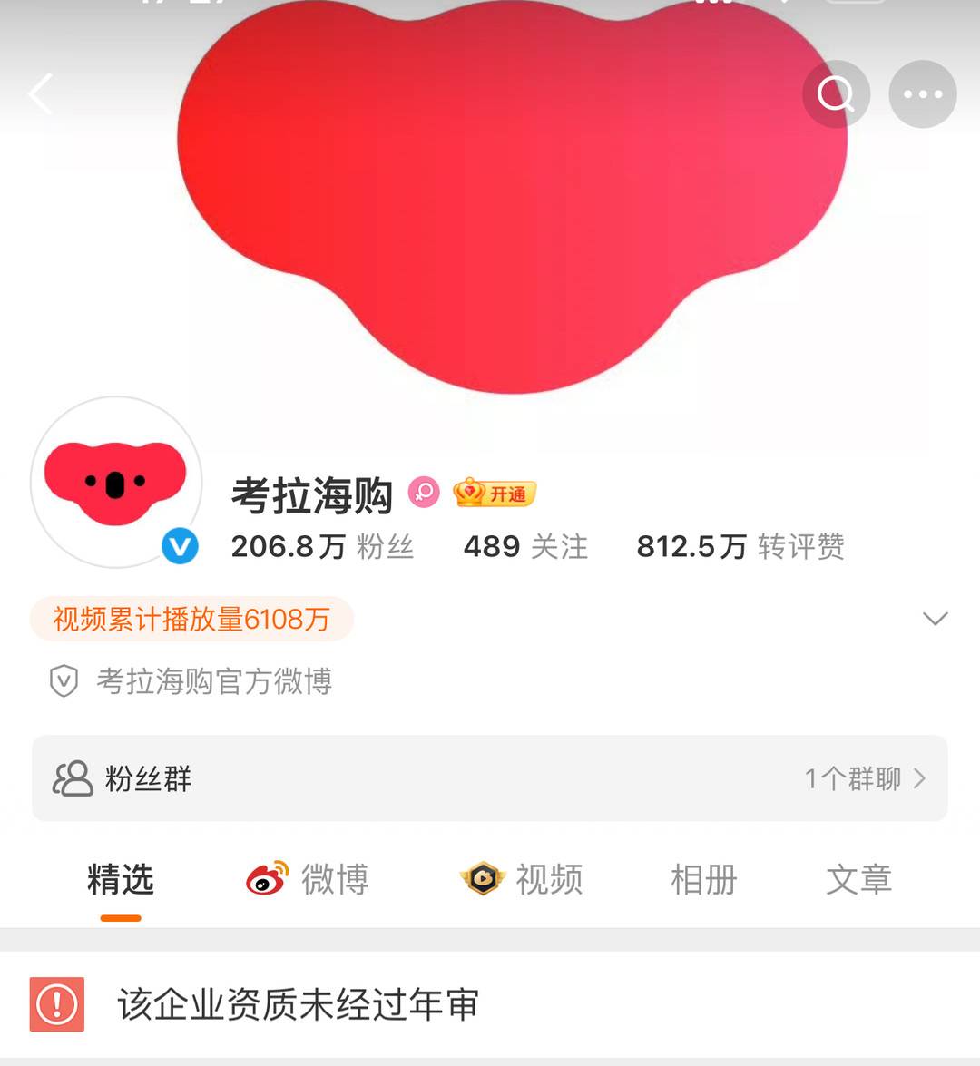 考拉海购的微博2024年底便停止了更新