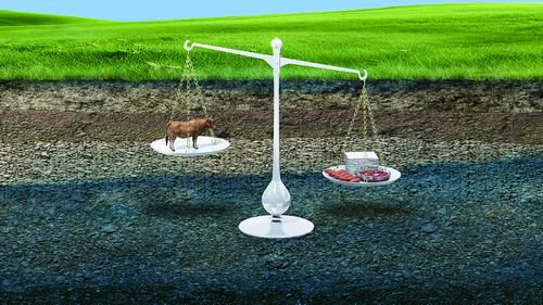 南方科技大学供图