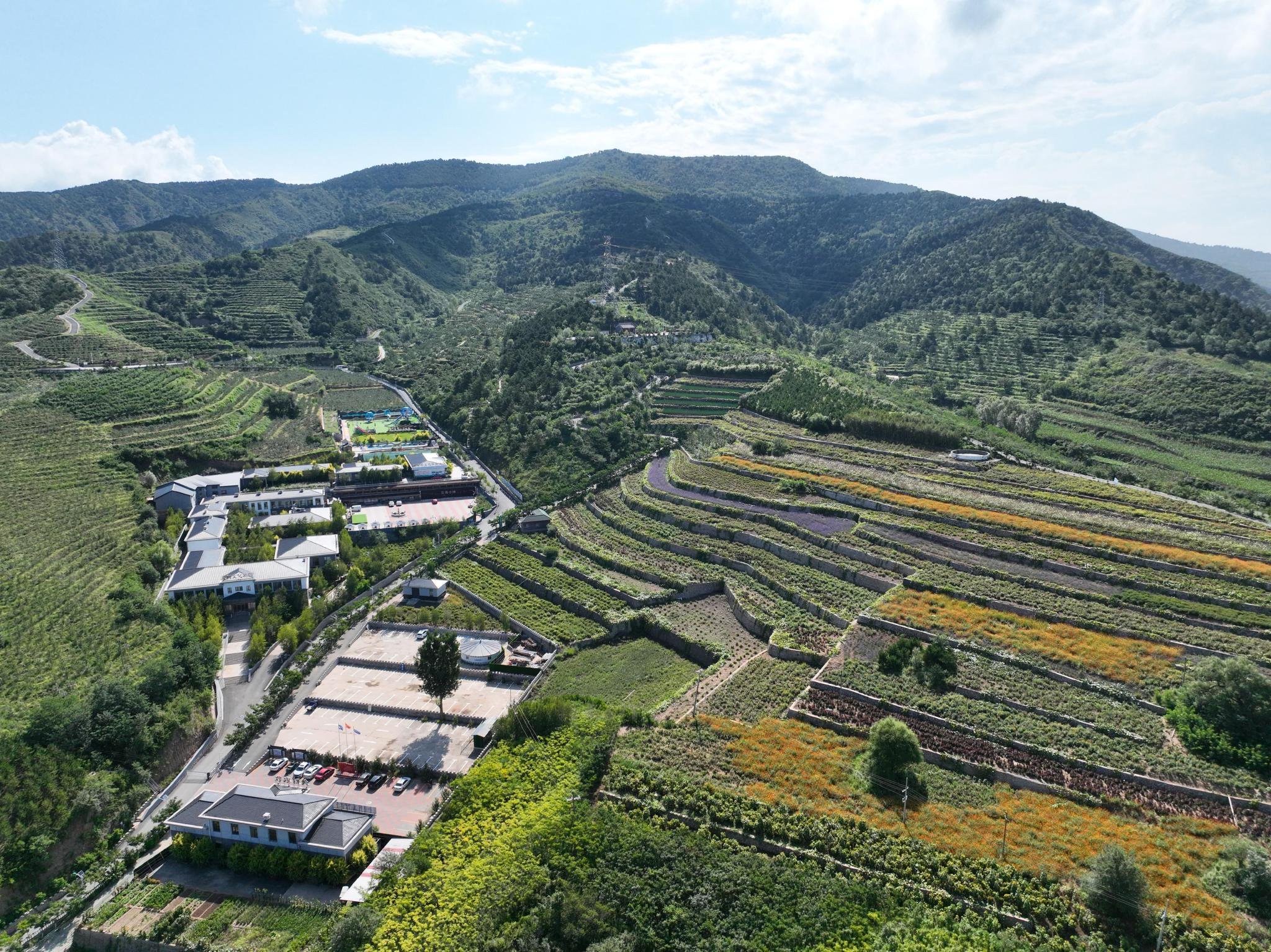 承德滦平:"花海小镇"照亮乡村振兴路