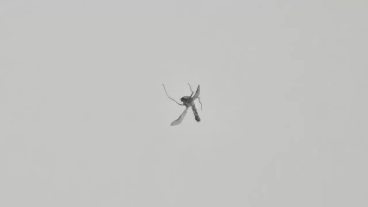 Photonmatrix便携式激光蚊子驱虫剂在海外众筹：可