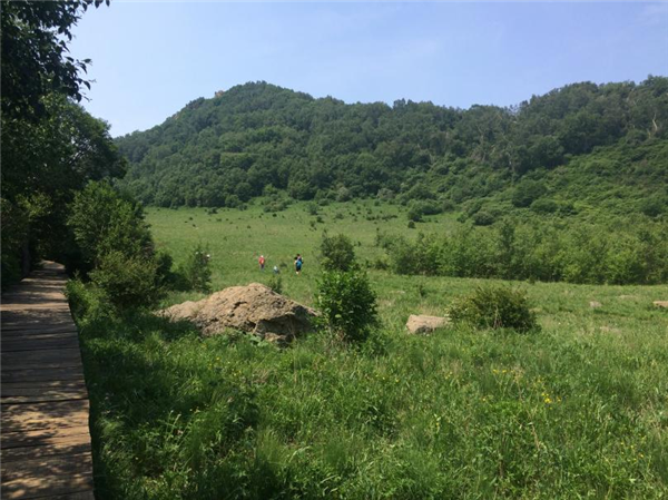 百花山草甸 图片来源：作者