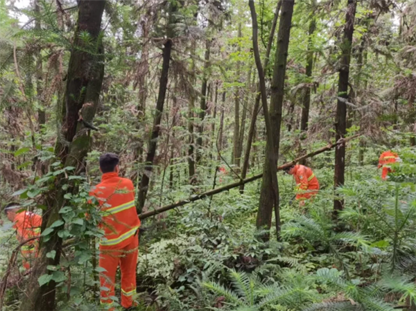 一个年轻人出生于2000年代，忘记了他的前女友，