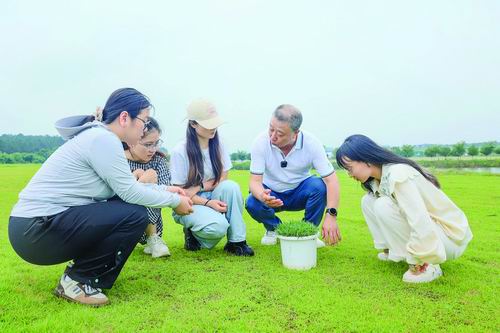 “基础”密码：“您的Chao”对此技术很清楚