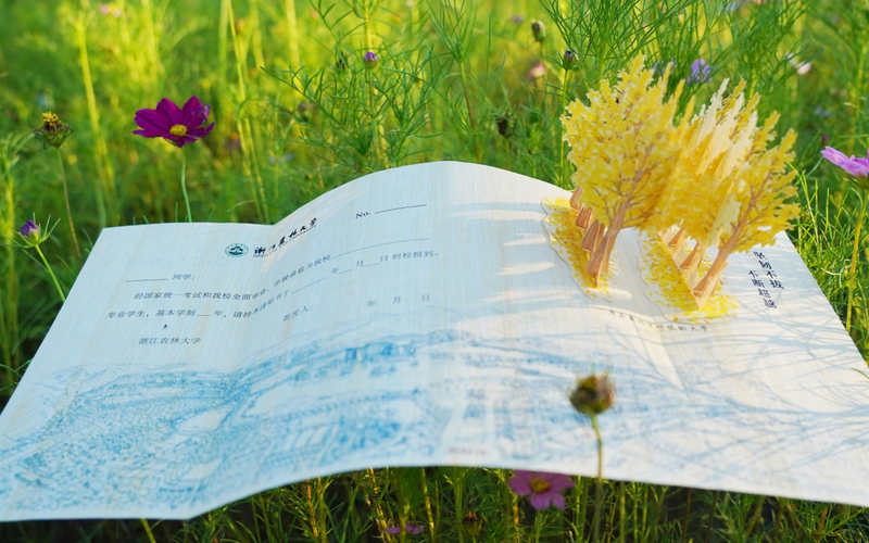 “实用版本”的录取通知使您可以将大学的精神