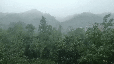 网友 何建菊/摄