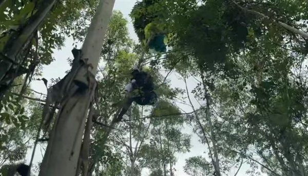 该名女性学会了滑翔伞，并在起飞超过10秒后突然