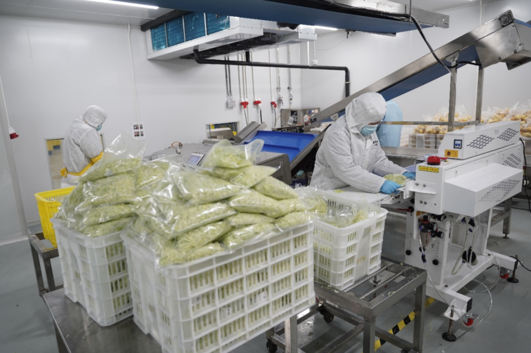 ▲ 上海青浦工厂里打包的工人，不仅有附近居民，还有周边省份来沪的务工人员。胡弘彪|摄