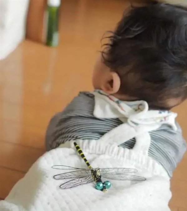 △ 也有人将蜻蜓模型放在孩子的屁股上防蚊