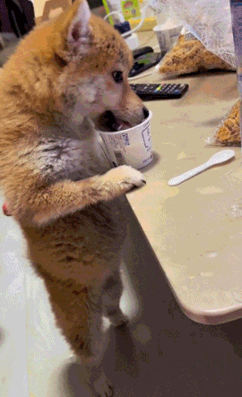 ▲图源：@是万三儿呀