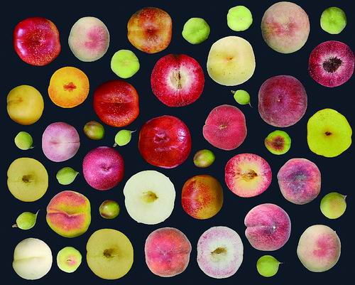 发布tooduo omics数据库