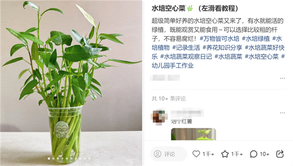 图源：某社交平台