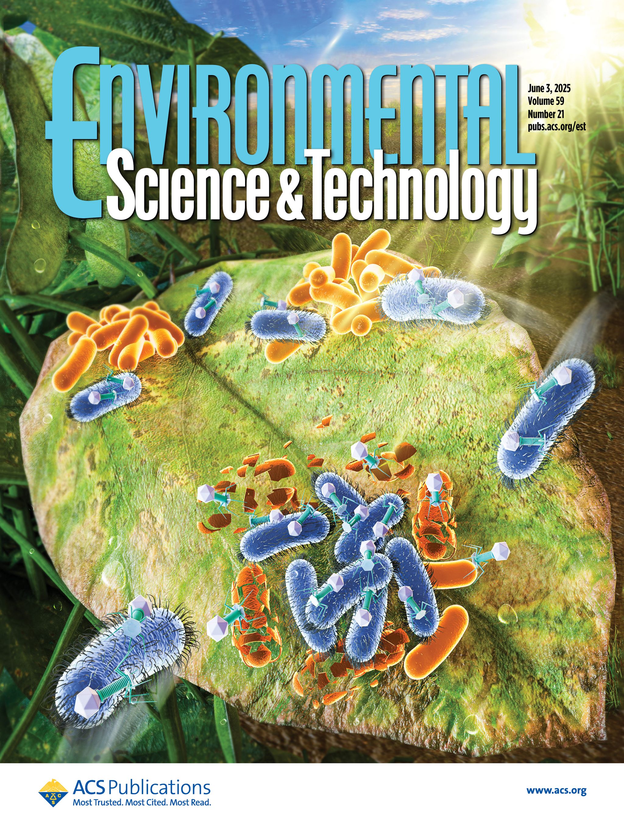 噬菌体“搭便车”携播体系示意图。东北农业大学供图