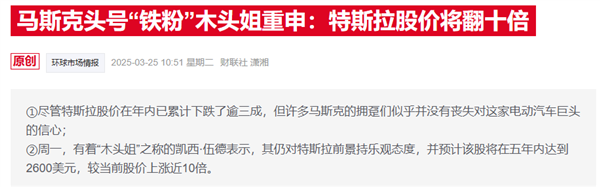 特斯拉沉没后，“ Muless Mu”仍然受到青睐：至少