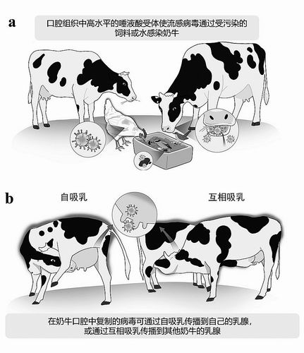 中国农业科学院供图
